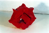 Sculpture objective n&deg;19 