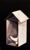 100 Poules n&deg; 49 